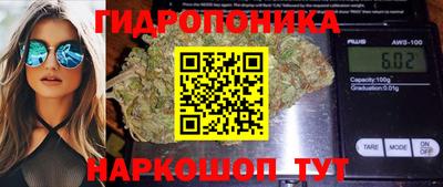 бошки Владивосток