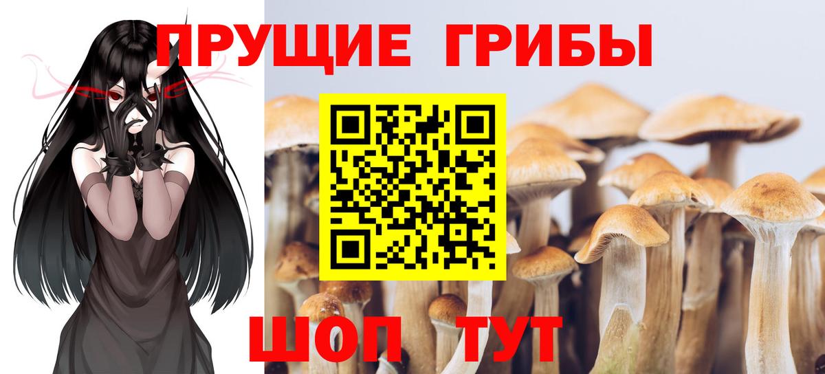 Галлюциногенные грибы Magic Shrooms Воскресенск
