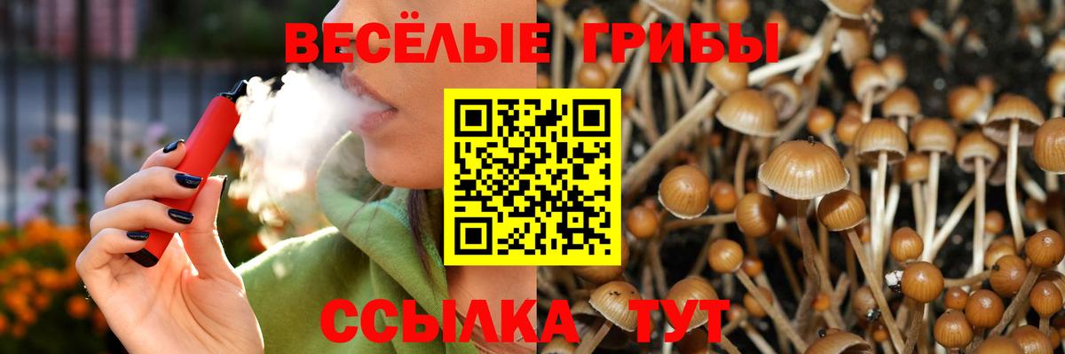 Псилоцибиновые грибы мицелий  Псилоцибиновые грибы мухоморы  Вход с VPN  Воскресенск 